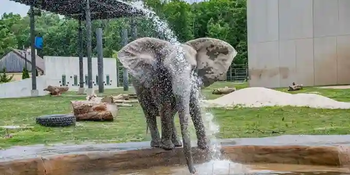 milwaukee county zoo, wi